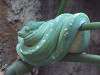 ueno_zoo_1010_mini.jpg