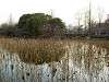 ueno_zoo_1180_mini.jpg