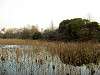 ueno_zoo_1181_mini.jpg