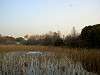 ueno_zoo_1182_mini.jpg