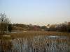 ueno_zoo_1183_mini.jpg