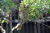 ueno_zoo_1204_mini.jpg