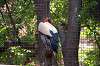 ueno_zoo_1272_mini.jpg