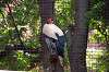 ueno_zoo_1274_mini.jpg
