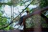 ueno_zoo_1285_mini.jpg
