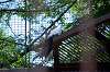 ueno_zoo_1286_mini.jpg