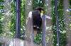 ueno_zoo_1291_mini.jpg