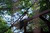 ueno_zoo_1293_mini.jpg