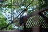 ueno_zoo_1294_mini.jpg