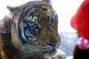 ueno_zoo_1312_mini.jpg