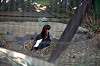 ueno_zoo_1363_mini.jpg