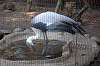ueno_zoo_1419_mini.jpg