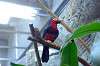 ueno_zoo_1439_mini.jpg
