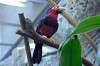 ueno_zoo_1440_mini.jpg