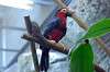 ueno_zoo_1442_mini.jpg