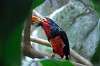 ueno_zoo_1446_mini.jpg
