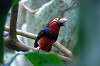 ueno_zoo_1447_mini.jpg