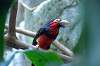 ueno_zoo_1448_mini.jpg