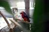 ueno_zoo_1449_mini.jpg