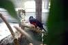 ueno_zoo_1451_mini.jpg