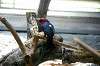 ueno_zoo_1459_mini.jpg
