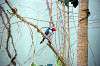 ueno_zoo_1497_mini.jpg