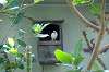 ueno_zoo_1512_mini.jpg