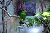 ueno_zoo_1529_mini.jpg