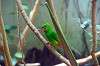 ueno_zoo_1531_mini.jpg