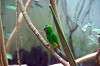 ueno_zoo_1532_mini.jpg