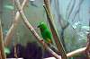 ueno_zoo_1533_mini.jpg