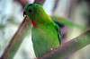 ueno_zoo_1542_mini.jpg