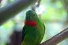 ueno_zoo_1546_mini.jpg