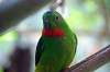 ueno_zoo_1547_mini.jpg