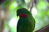 ueno_zoo_1552_mini.jpg