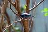 ueno_zoo_1562_mini.jpg