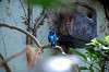 ueno_zoo_1582_mini.jpg