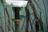 ueno_zoo_1609_mini.jpg
