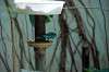 ueno_zoo_1612_mini.jpg