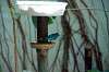 ueno_zoo_1614_mini.jpg
