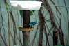 ueno_zoo_1616_mini.jpg