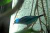 ueno_zoo_1619_mini.jpg