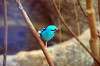 ueno_zoo_1626_mini.jpg