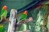 ueno_zoo_1669_mini.jpg