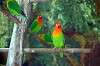 ueno_zoo_1670_mini.jpg