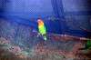 ueno_zoo_1681_mini.jpg
