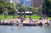 ueno_zoo_1702_mini.jpg