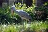 ueno_zoo_1710_mini.jpg