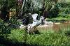 ueno_zoo_1734_mini.jpg