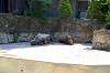 ueno_zoo_1759_mini.jpg